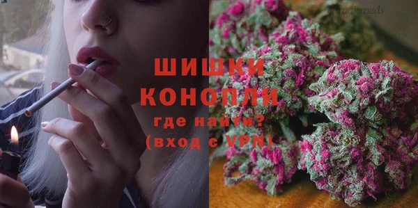 PSILOCYBIN Березники
