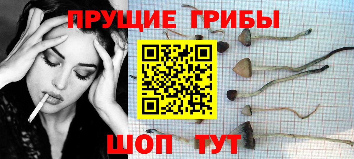 Галлюциногенные грибы Cubensis  Вход с VPN  Печора 
