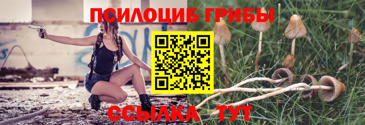 Галлюциногенные грибы мухоморы Печора